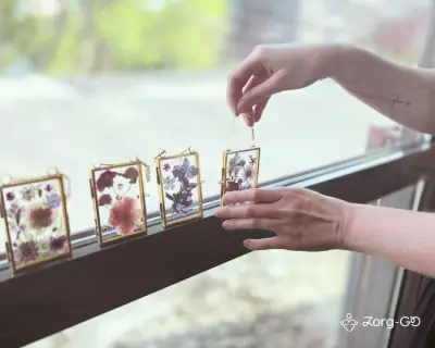Zorg-GO — foto 2